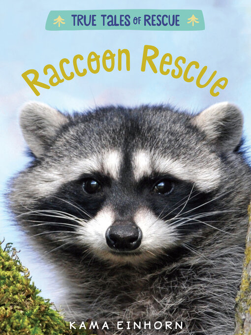 Title details for Raccoon Rescue by Kama Einhorn - Available